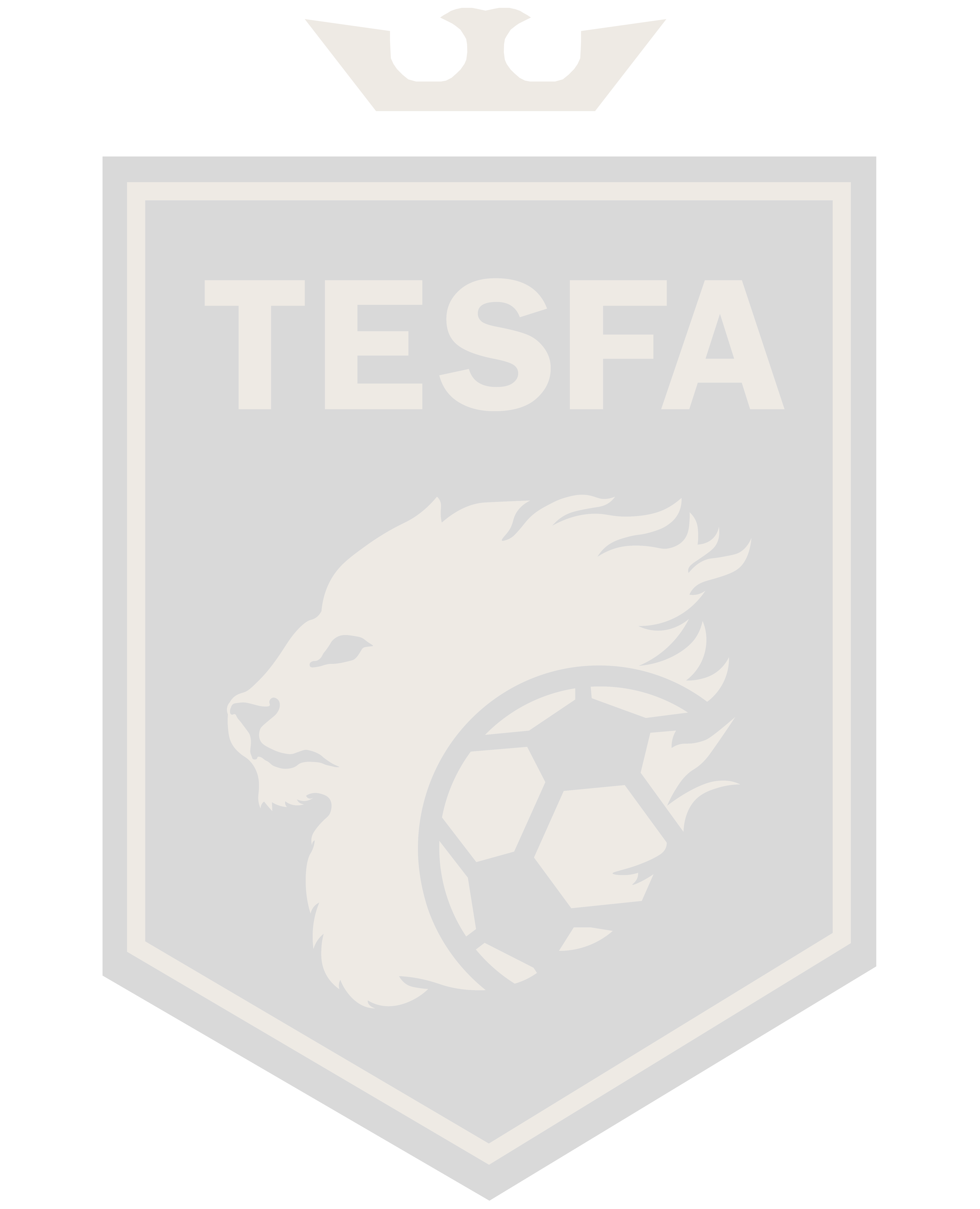 Tesfa Football Academy Logo